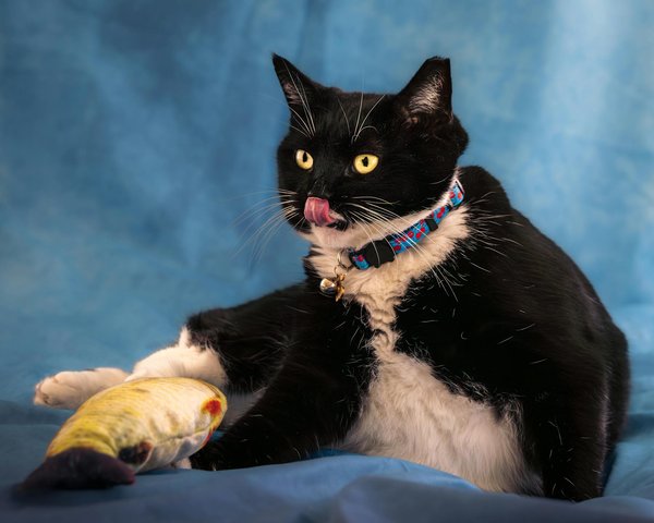 Schaffen Sie den perfekten Festival-Style: Styling-Tipps für Ihre einzigartige Vintage-Jeansjacke!